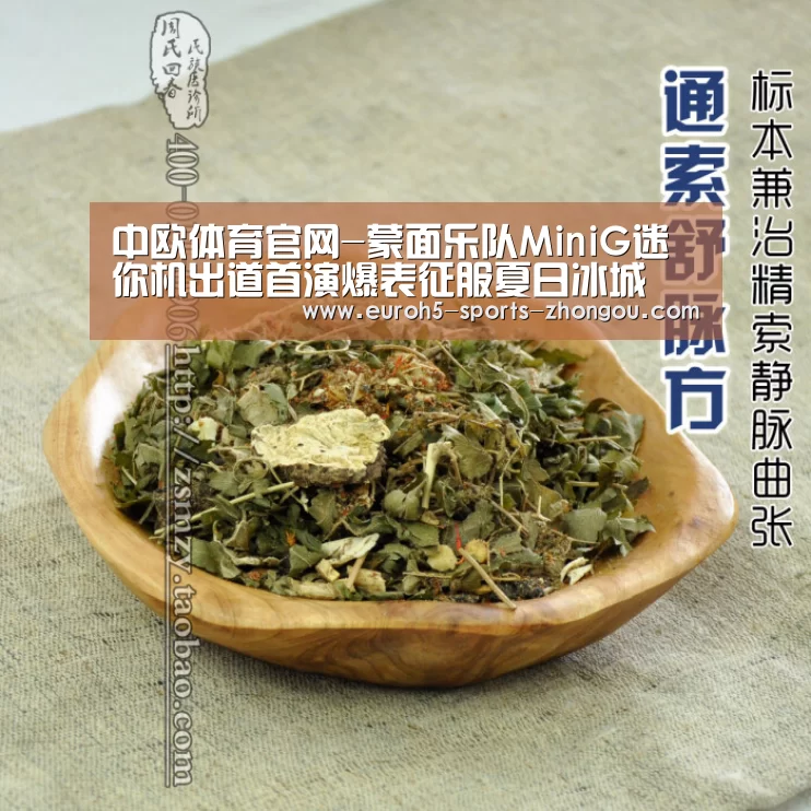 中欧体育官网-蒙面乐队MiniG迷你机出