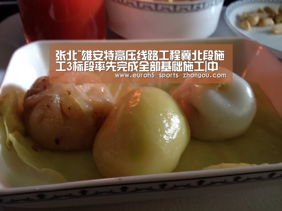 张北~雄安特高压线路工程冀北段施工3标段率先完成全部基础施工