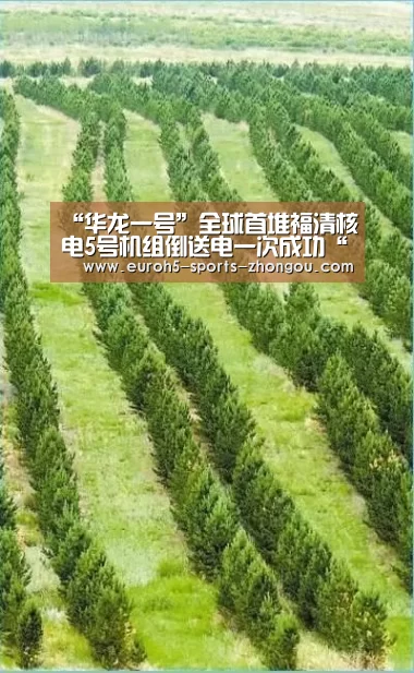 “华龙一号”全球首堆福清核电5号机组倒送电一次成功“中欧体育