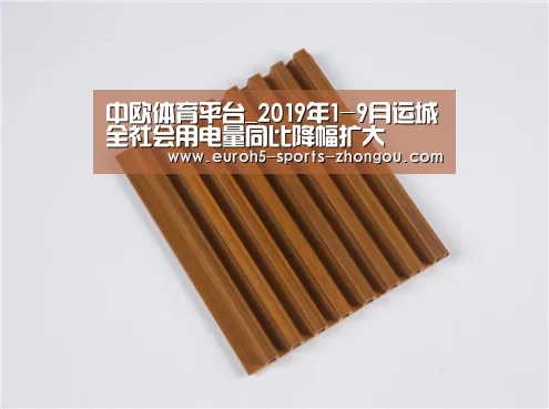 中欧体育平台_2019年1-9月运城全社会用电量同比降幅扩大